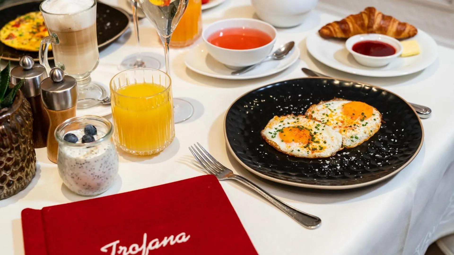 Hotel Trofana Alpin Ischgl